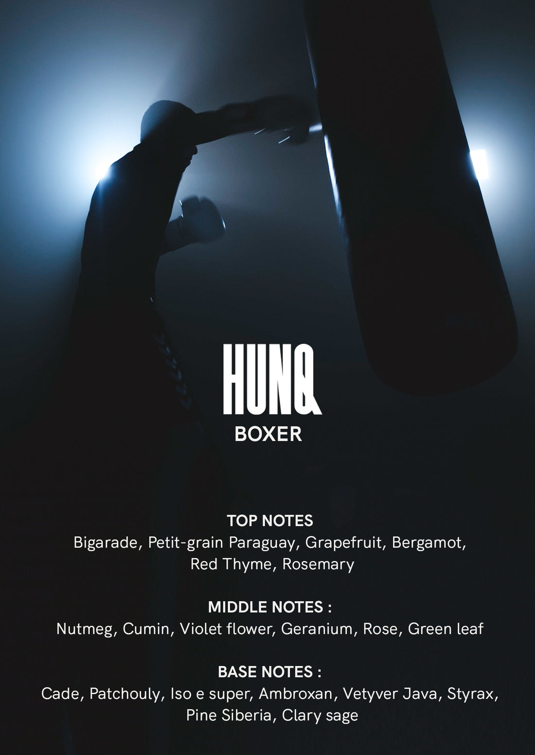 #006 BOXER