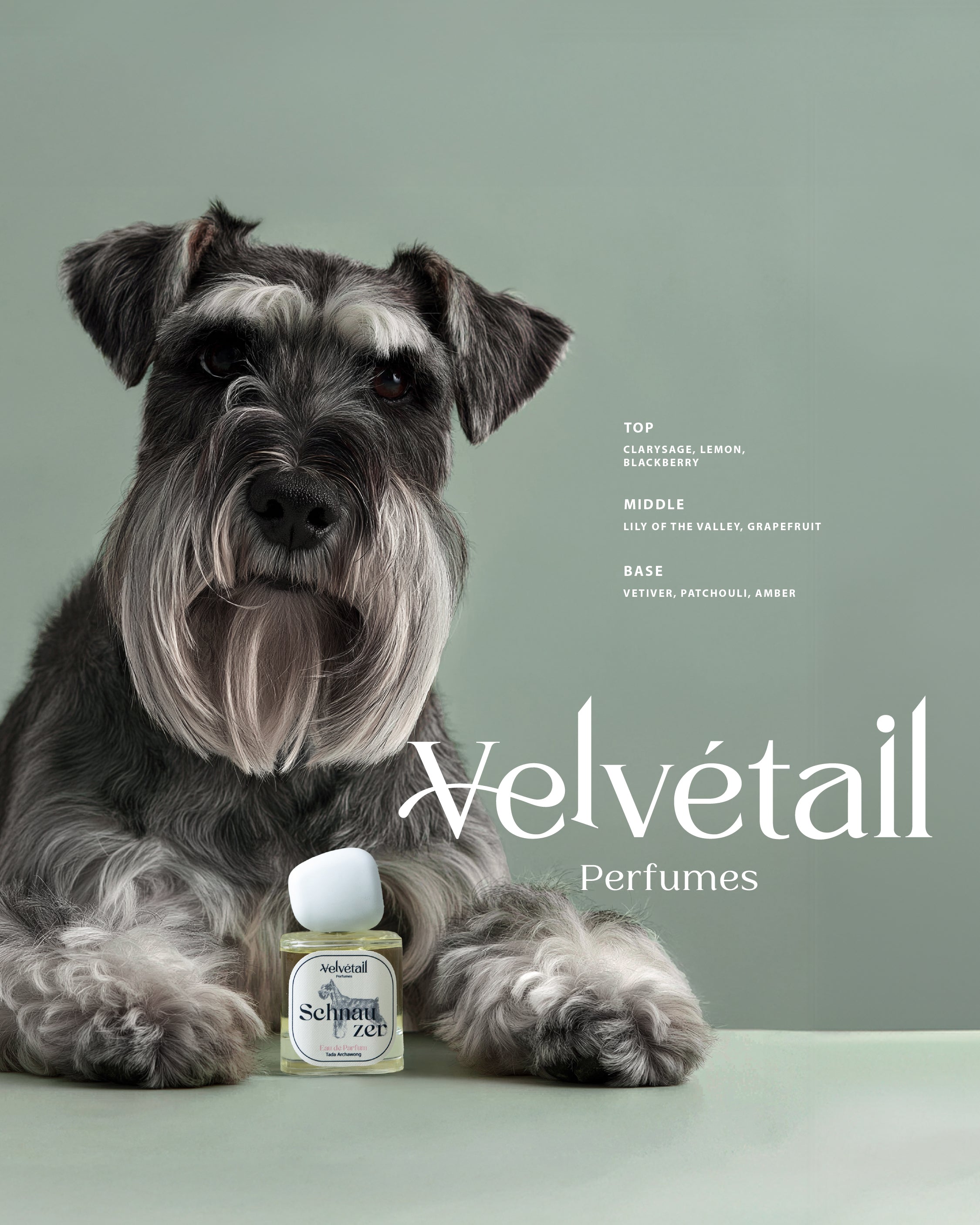 schnauzerさま専用 Schnauzer