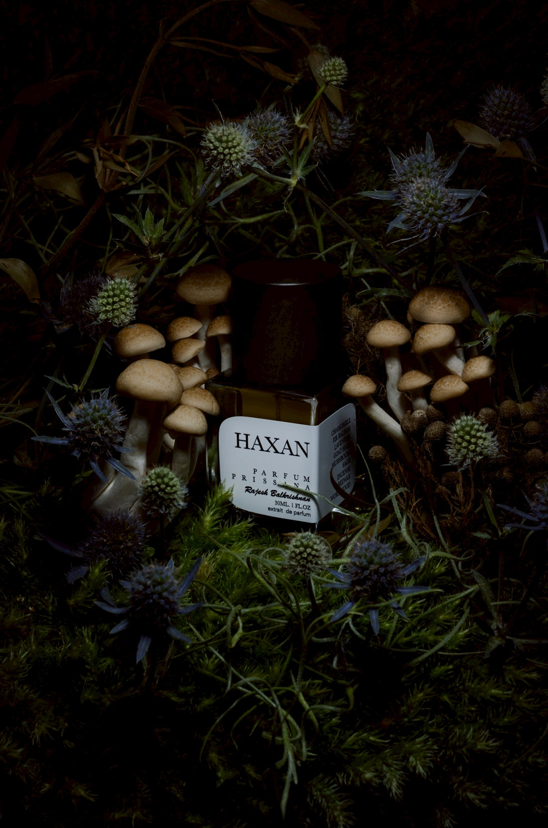 Haxan