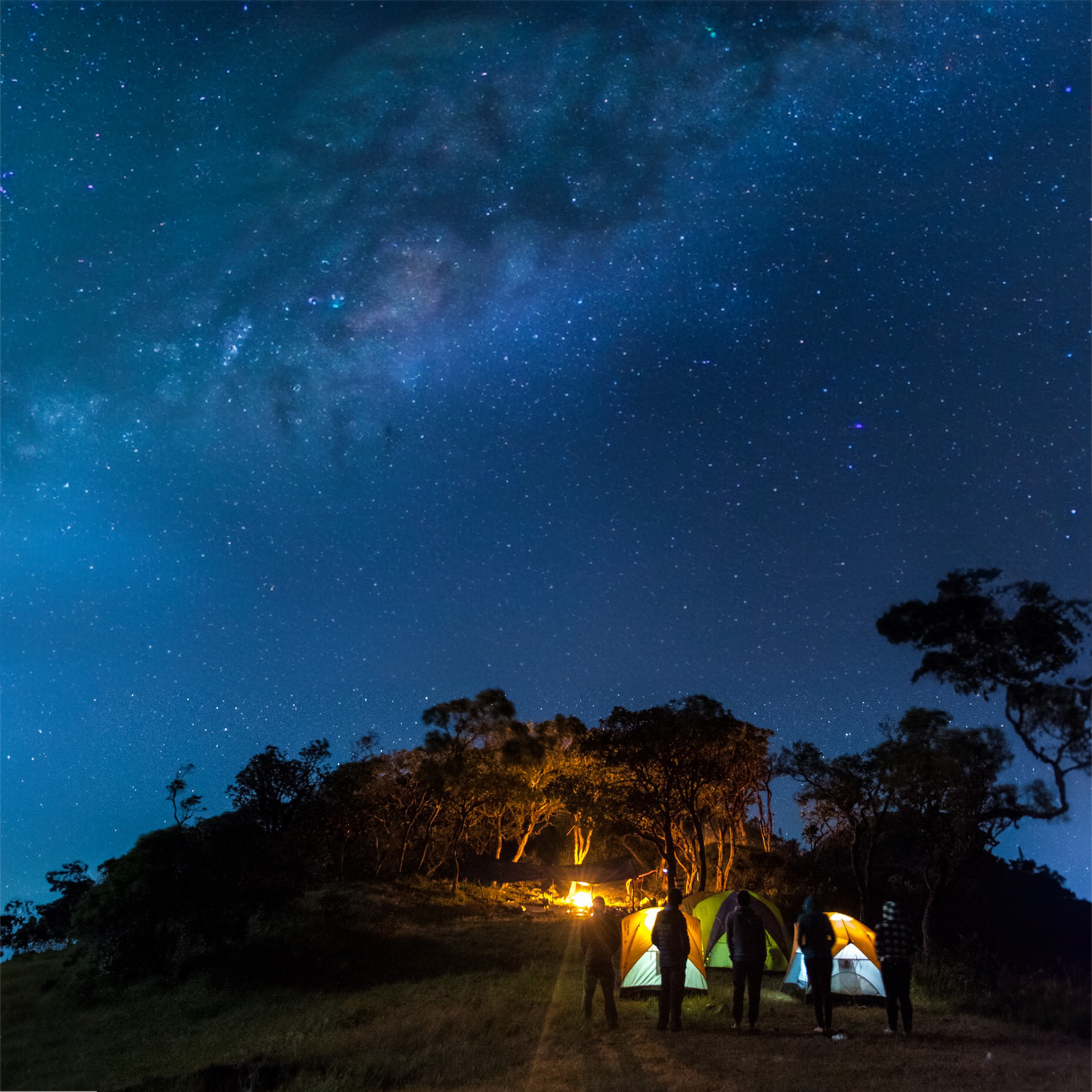 Campfire by Night