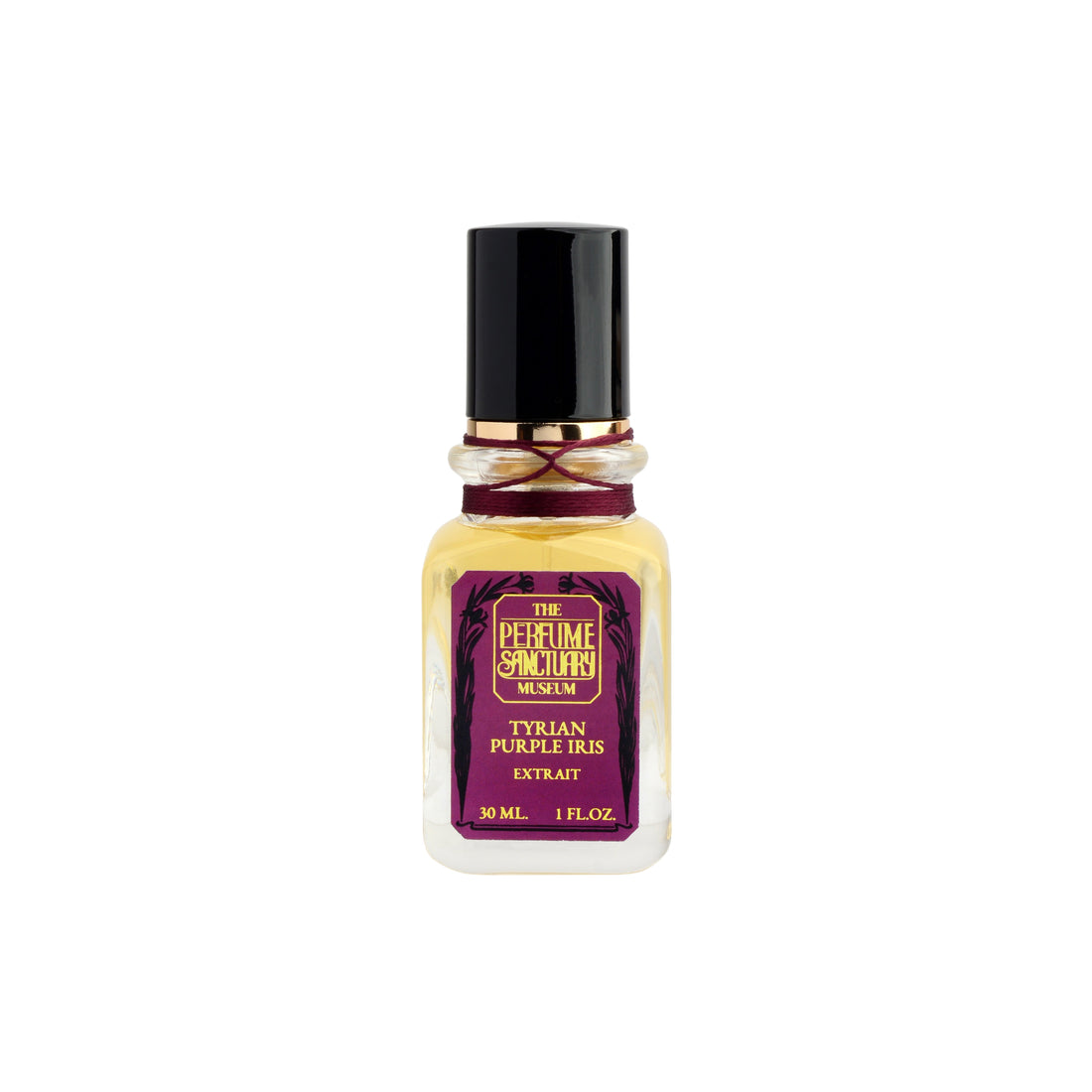 Tyrian Purple Iris