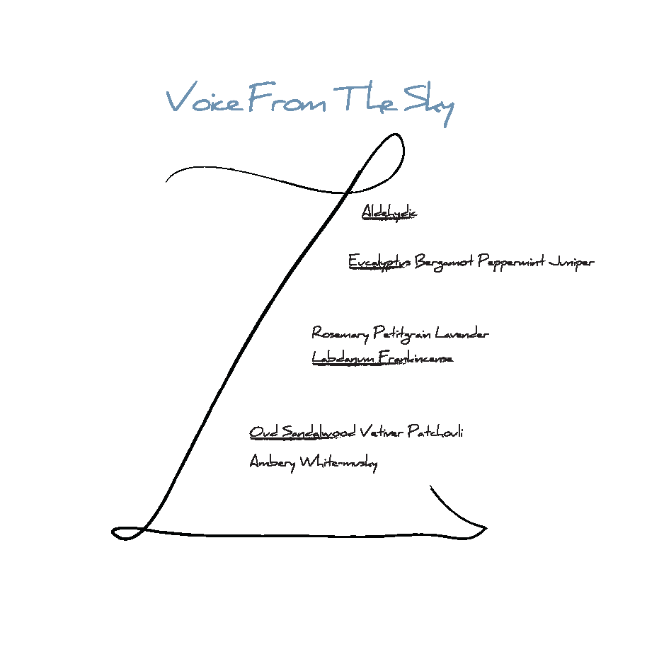 Voice From The Sky
